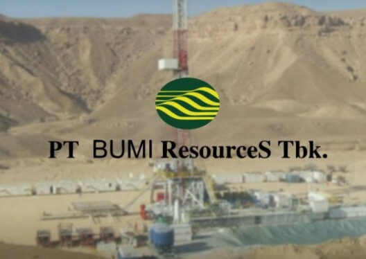 bumii