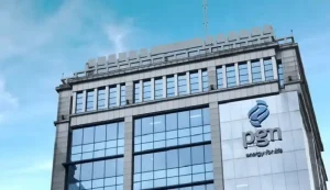 Profil-Saham-PGAS-PGN